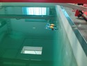  Il Rouv esegue test nella vasca (fonte: Claudia Ceccarelli) (ANSA)