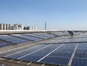 Solar Power Europe: 2021 anno record per il fotovoltaico Ue (ANSA)