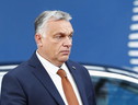 Trump a Orban, sostegno alle prossime elezioni (ANSA)