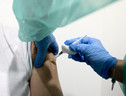 Belgio, si fa vaccinare 8 volte 'per vendere greenpass' (ANSA)