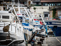 Oggi le sirene dei pescherecci contro le nuove linee Ue (ANSA)
