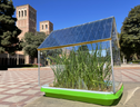 Un prototipo di serra in miniatura con il tetto costruito con celle solari semitrasparenti che ha portato a una migliore crescita delle piante rispetto a una serra tradizionale. Credit: Yang Yang Laboratory/UCLA (ANSA)