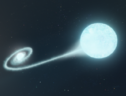 Rappresentazione artistica di una stella che ruota intorno a una compagna, perdenfo materia prima di esplodere (fonte: Adam Makarenko/W. M. Keck Observatory) (ANSA)