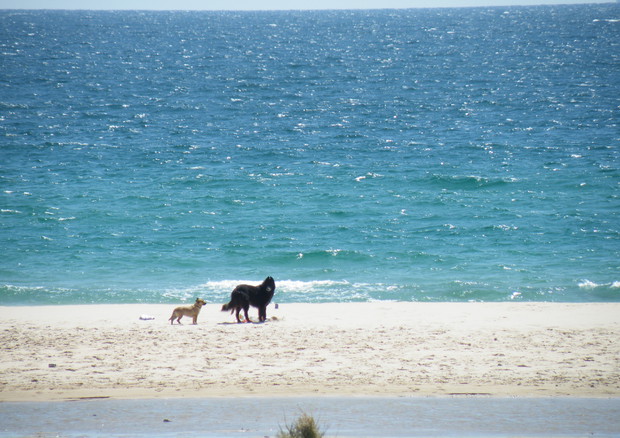 La spiaggia di Tarifa, il punto più meridionale di Spagna, è sempre battuta da un forte vento © Ansa