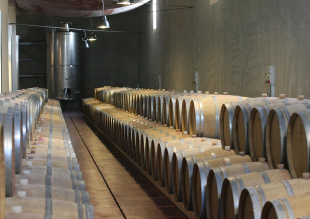 Vino: morto Aldo Santero, industriale del vino aveva 90 anni © ANSA