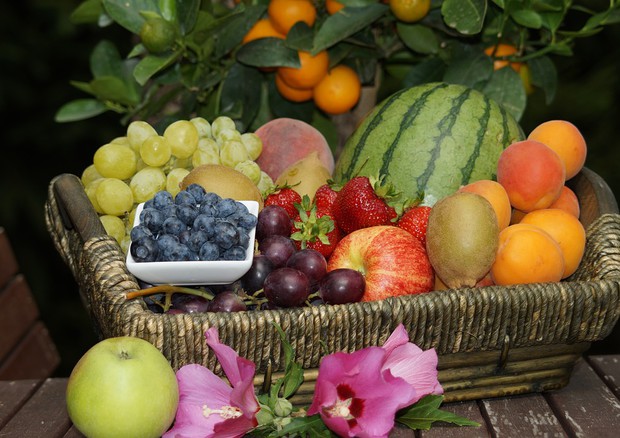 Albicocche e fragole nella top-ten della frutta amica dell'abbronzatura (fonte: SvenHilker/Pixabay) © Ansa