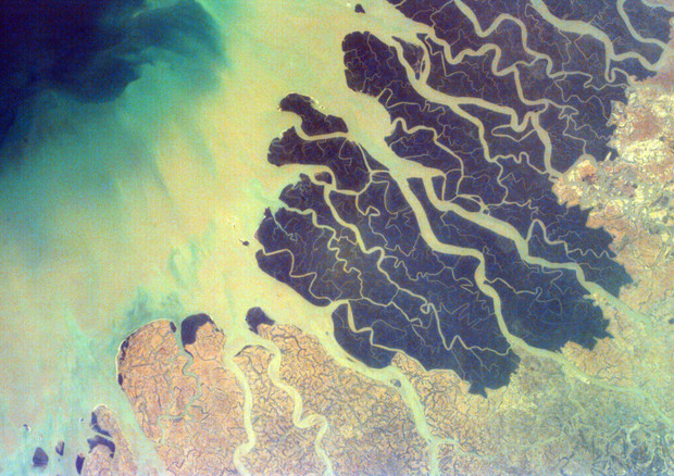 Il delta del Gange (fonte: NASA) © Ansa