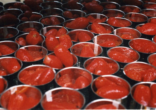 Conserve Italia lavorerà 400.000 tonnellate di pomodoro © Ansa