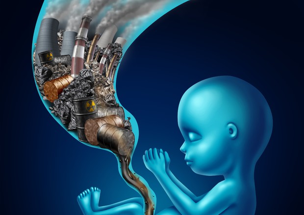 l'inquinamento danneggia il cuore dei bimbi prima della nascita © Ansa