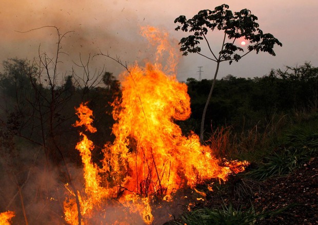 Amazon fires burn in Brazil © EPA