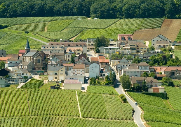 Champagne, Village de Monthelon (Fototeca CIVC) © ANSA