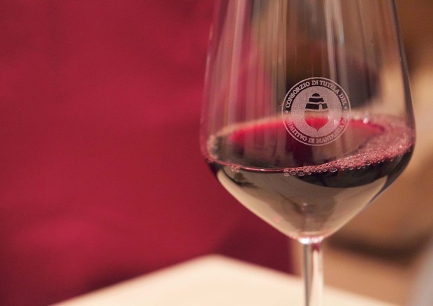 Dop Sicilia non avrà etichetta vino Primitivo © ANSA