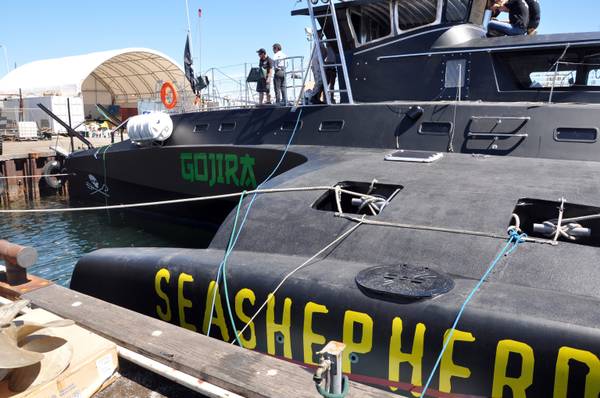 Sea Shepherd rinuncia a inseguimenti baleniere del Giappone