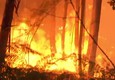 Portogallo: incendio boschivo, almeno 57 morti © ANSA