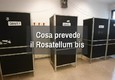 Come funzionerebbe il Rosatellum bis © ANSA