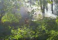 Pompieri spengono il fuoco tra Calci e Vicopisano © ANSA