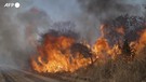Bolivia, continuano gli incendi nelle aree protette nell'Est del Paese (ANSA)