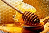 La produzione di miele in Ue è aumentata del 16% dal 2014 (ANSA)