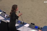 Parlamento Ue osserva un minuto di silenzio per vittime Strasburgo