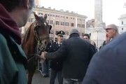 Cade cavallo davanti a Palazzo Chigi