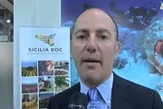 Vinitaly: Rallo, 2018 record per Consorzio Doc Sicilia