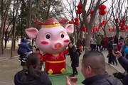 Capodanno cinese al via con l'anno del maiale
