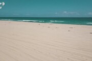 Coronavirus: divieti rispettati, spiagge deserte in Florida