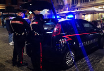 carabinieri (ANSA)