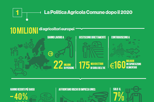 La politica agricola comune dopo il 2020 (ANSA)