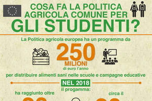 Cosa fa la politica agricola Ue per gli studenti? (ANSA)