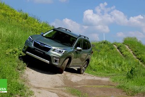 Subaru Forester - Viaggiare in Off Road (ANSA)
