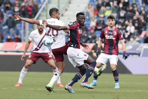 Soccer: Serie A ; Bologna - Torino (ANSA)