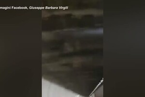 Orso in fuga in una galleria tra Marche e Umbria (ANSA)