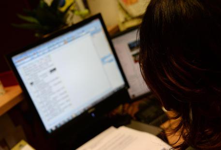 Una donna al computer in una foto di archivio © ANSA 