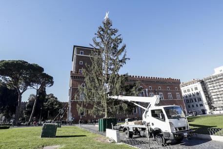 L'albero di Natale a Piazza Venezia a Roma © ANSA