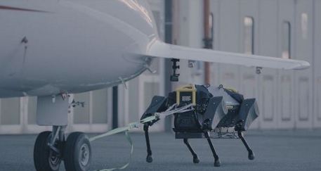Il robot HyQReal trascina un aereo dibtre tonnellate (fonte: IIT) © Ansa
