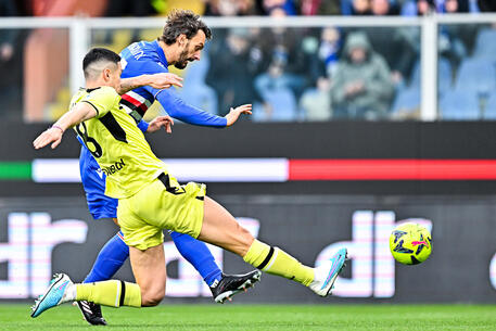 Uc Sampdoria vs Udinese Calcio © ANSA