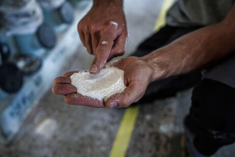 E' la Giornata mondiale della farina, in Italia 300 molini