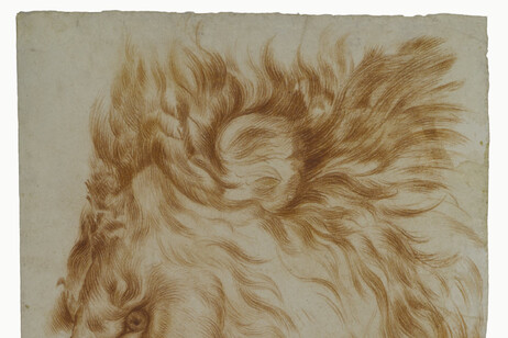 Da Leonardo in poi, al Castello Sforzesco i disegni a sanguigna
