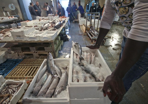 Consumi: pesce a tavola con garanzie, il 76% degli italiani cerca la qualità © ANSA 