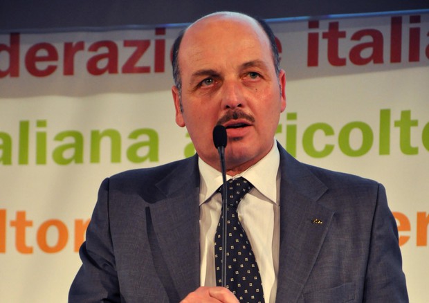 Dino Scanavino, presidente nazionale della Cia © ANSA