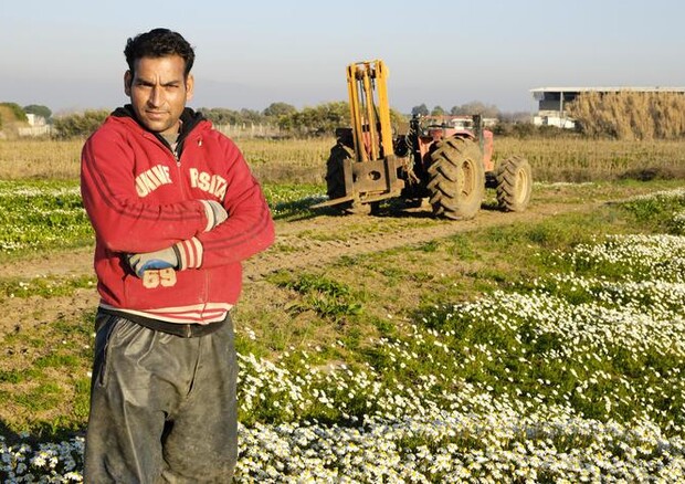 Migranti:Cia, Ue cambi passo su gestione, agricoltura modello © Ansa