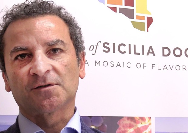 Maurizio Lunetta, direttore del Consorzio di Tutela vini Doc Sicilia © ANSA