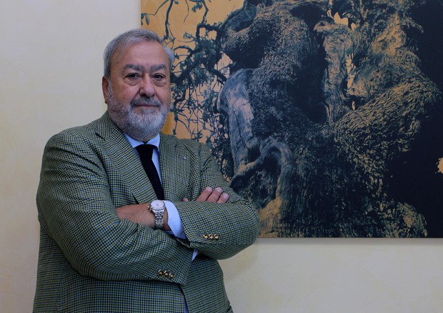 Il presidente e amministratore Delegato del Gruppo Cannillo Franco Cannillo © ANSA