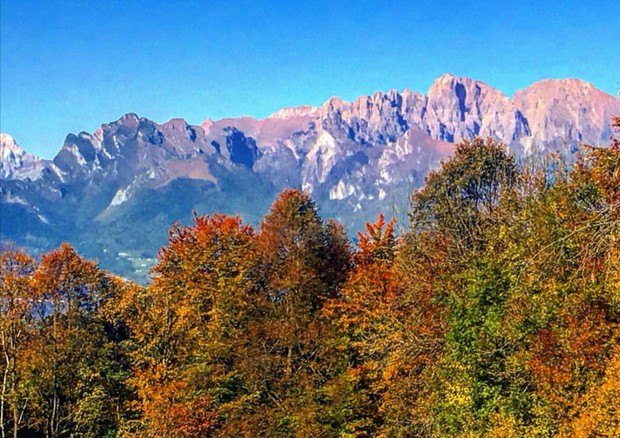 Foliage in the Dolomites bursts with fall colour © Ansa