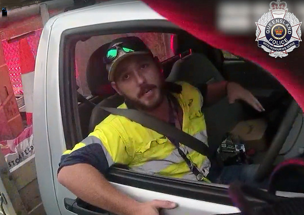 Automobilista uccide serpente velenoso con cintura sicurezza © Queensland Police