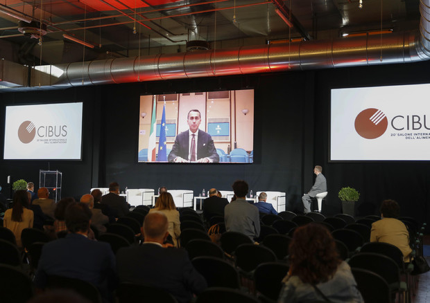 Luigi Di Maio, Ministro degli Affari Esteri e della Cooperazione Internazionale durante l'intervento in video a chiusura del convegno inaugurale del Cibus 2021 © ANSA