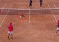 L'invasione di camnpo di un gatto sul campo da tennis al Foro Italico agli Internazionali © Ansa