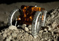Bosch assieme a NASA per funzionamento CubeRover sulla Luna © ANSA