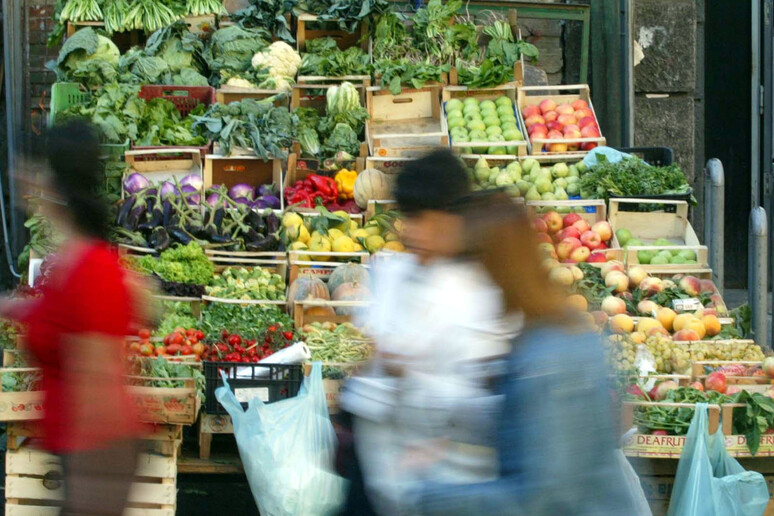 Prezzi in discesa, rincari per verdura fresca - RIPRODUZIONE RISERVATA